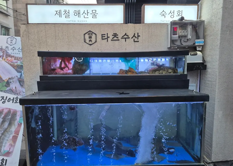 Aquarium at the entrance of TATSU SUSAN