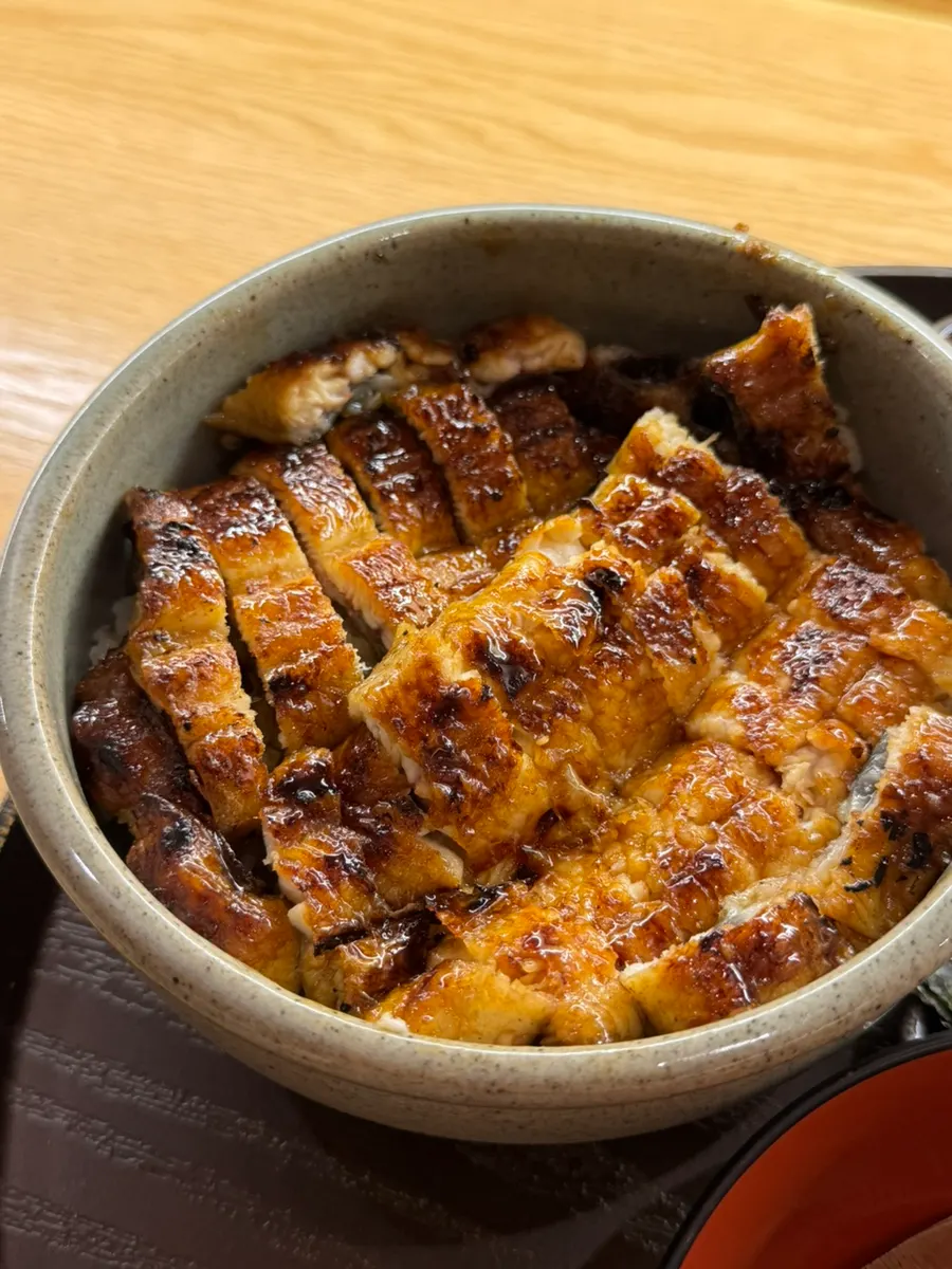 Close-up of glossy, golden-grilled eel