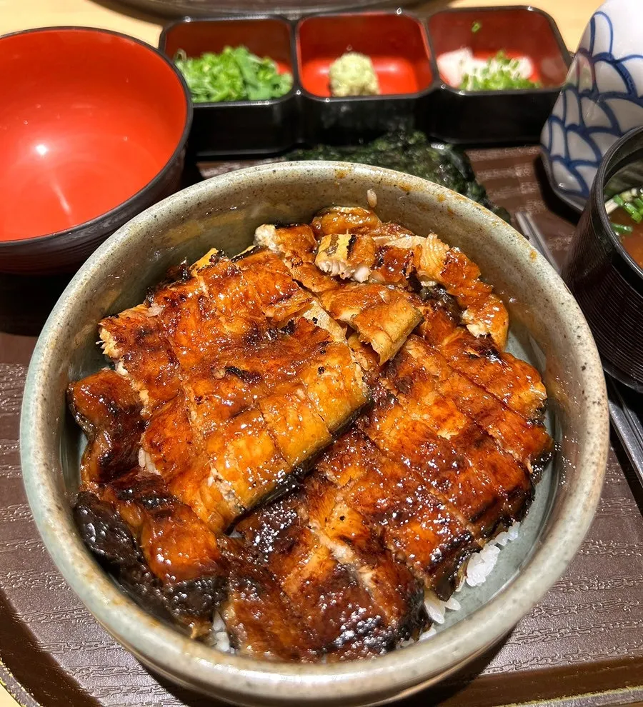 Close-up of golden-grilled hitsumabushi eel