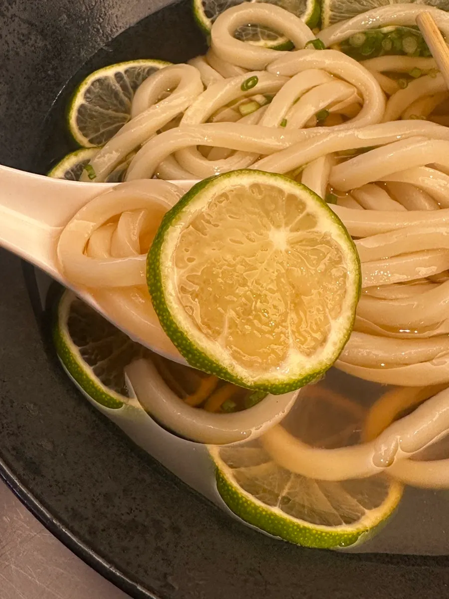 Lifting a thick strand of handmade udon noodle
