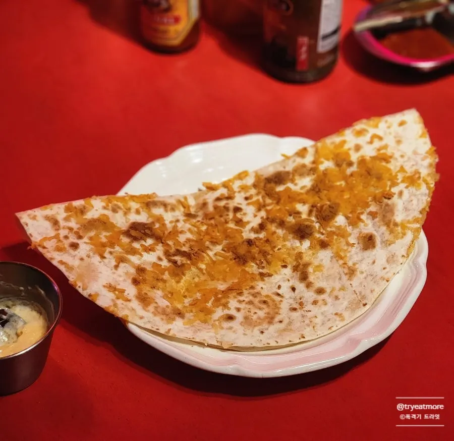 A quesadilla served on a ceramic plate