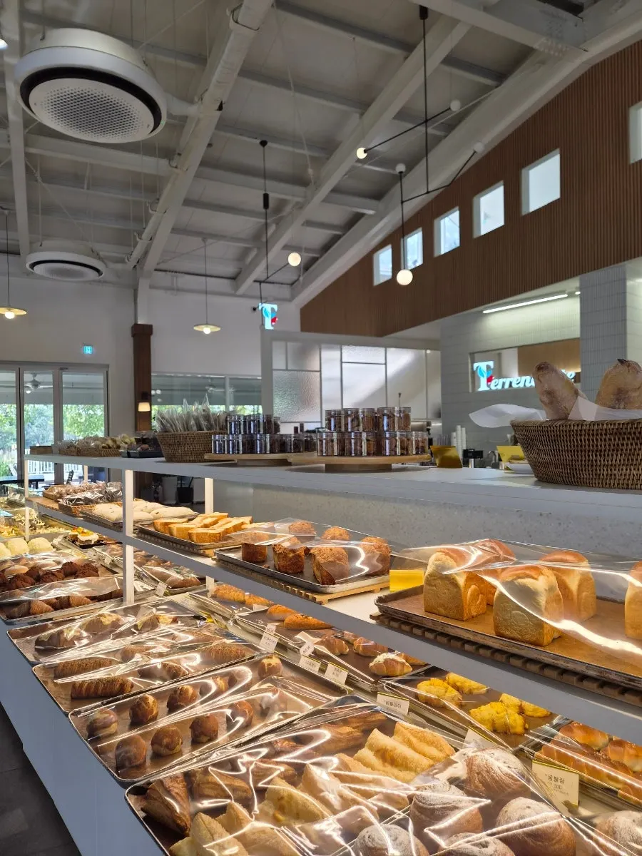 Bakery display case at Terreno Cité Special