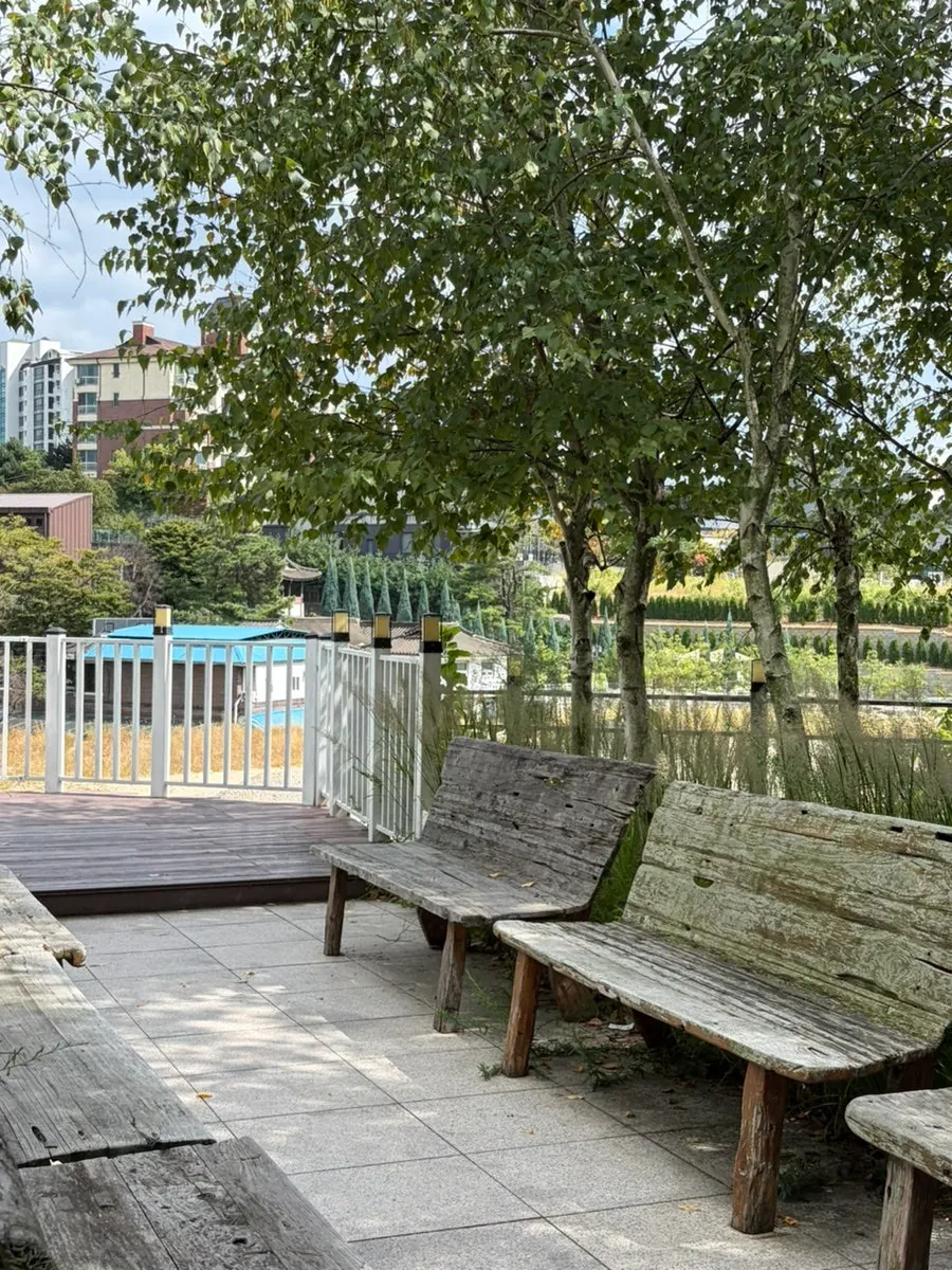 Outdoor café seating with green plants
