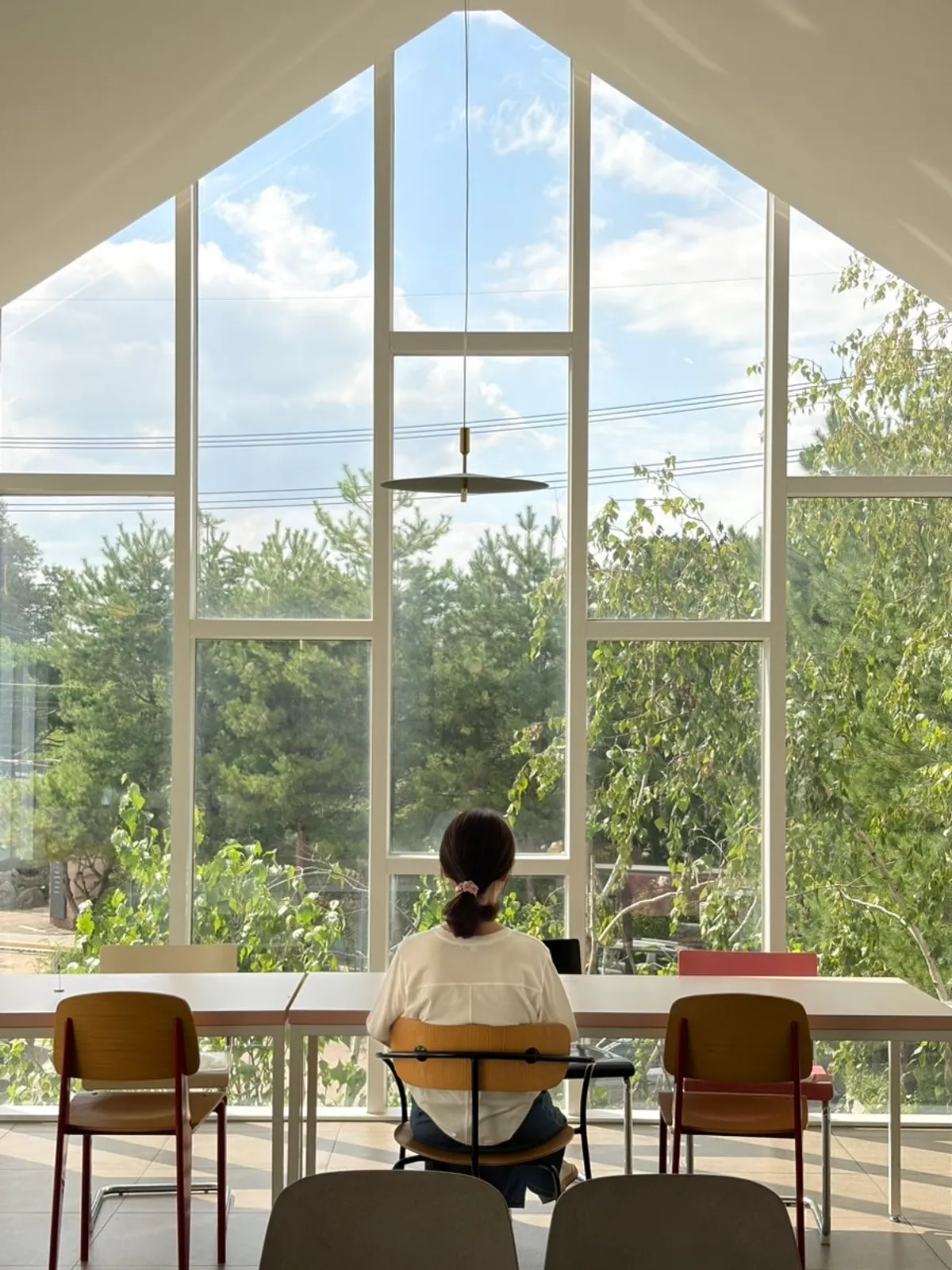 Photo taken by the 2nd-floor window on a sunny day