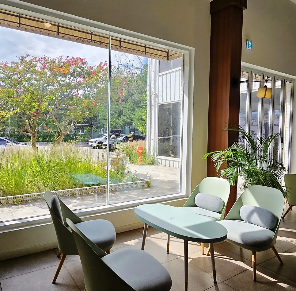 자작나무가 보이는 카페 풍경