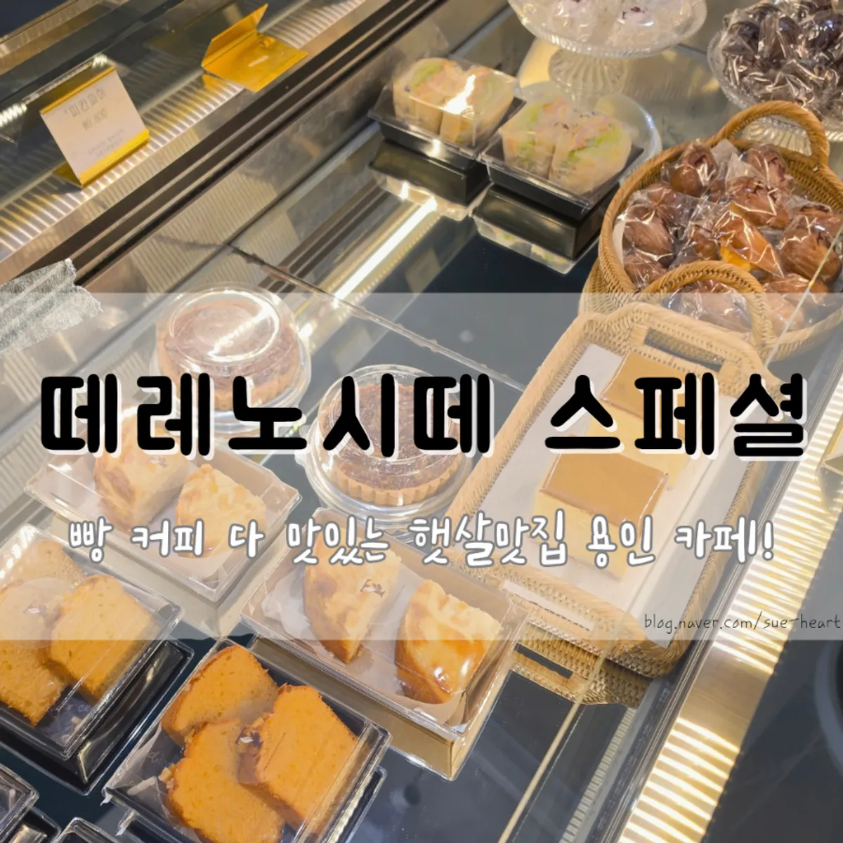 용인 기흥 떼레노시떼 스페셜점 대표 이미지