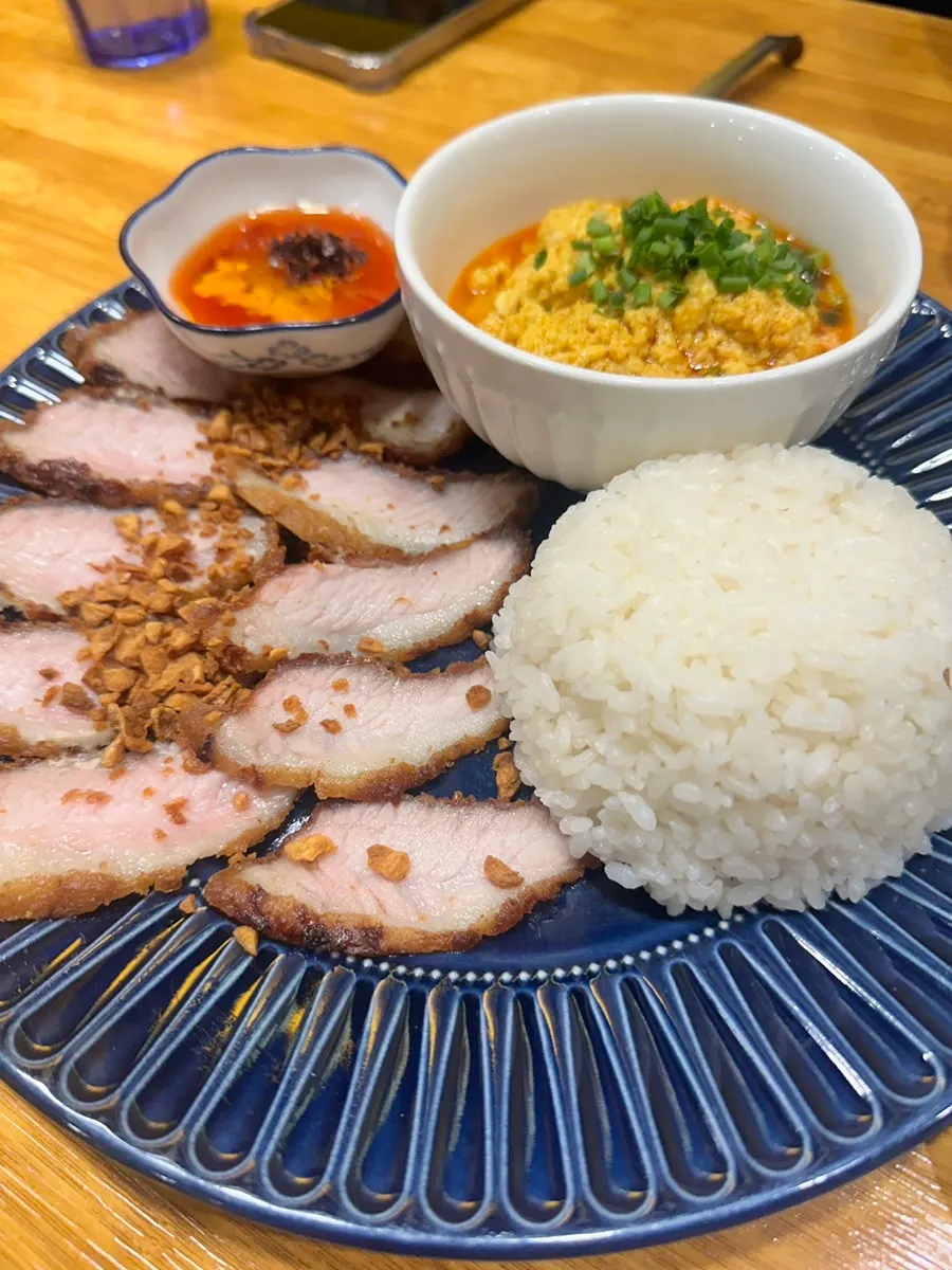 Sliced fried pork from the pork cutlet curry