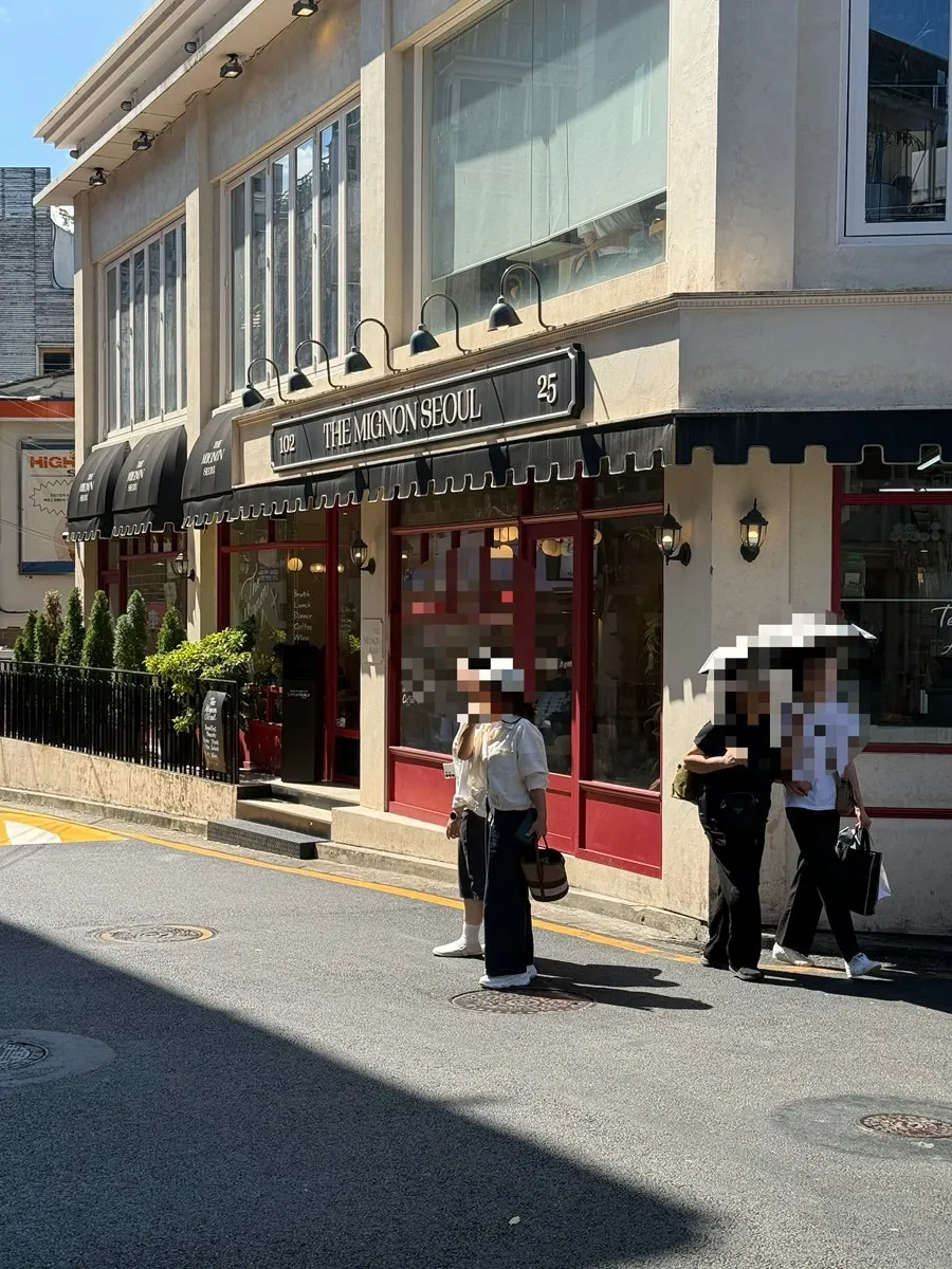 더미뇽 서울 방문 첫 사진