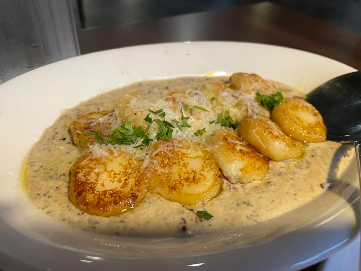 THE MUA's cream sauce gnocchi topped generously with cheese