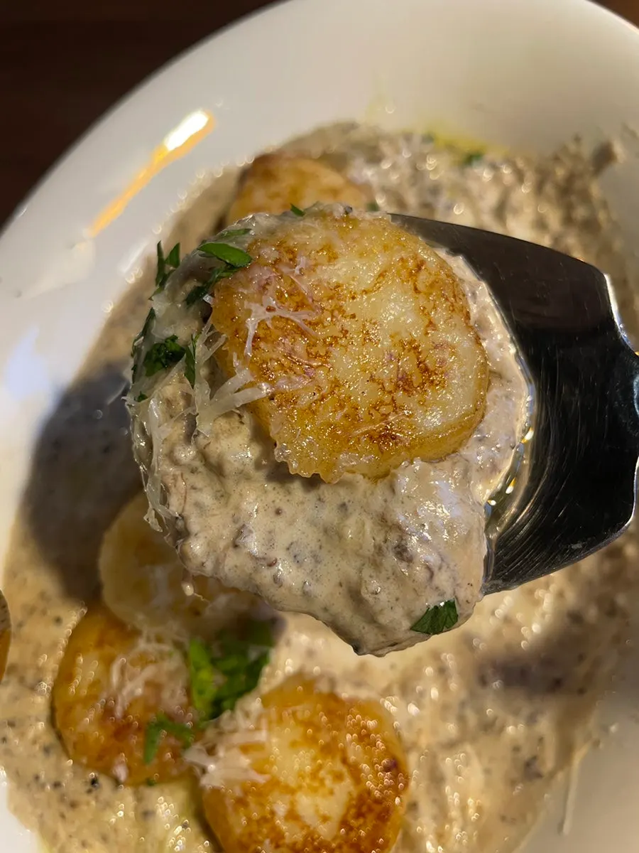 A spoonful of sauce-coated gnocchi