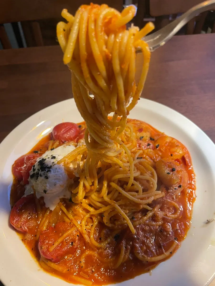 Tomato pasta noodles lifted up with a fork
