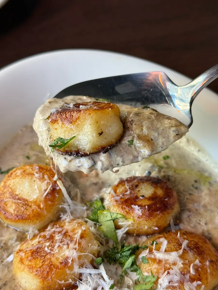 Gnocchi over mushroom duxelles sauce