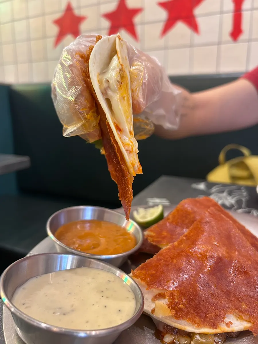 Grilled pollo quesadilla served on a plate