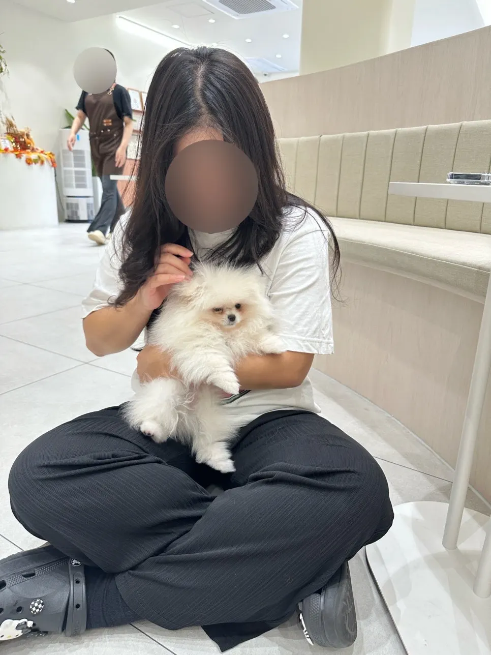 An affectionate baby dog