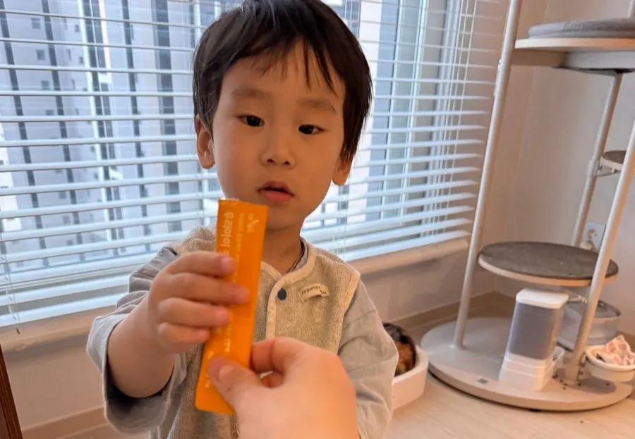 성분 소개와 함께 실린 더데이 비타민젤리 사진