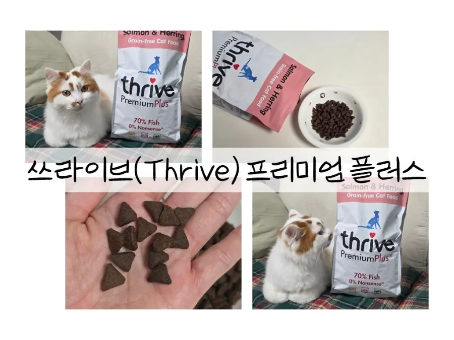 Introduction photo of Thrive dry cat food