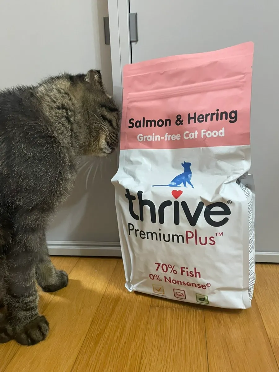 The chosen Thrive salmon and herring dry cat food