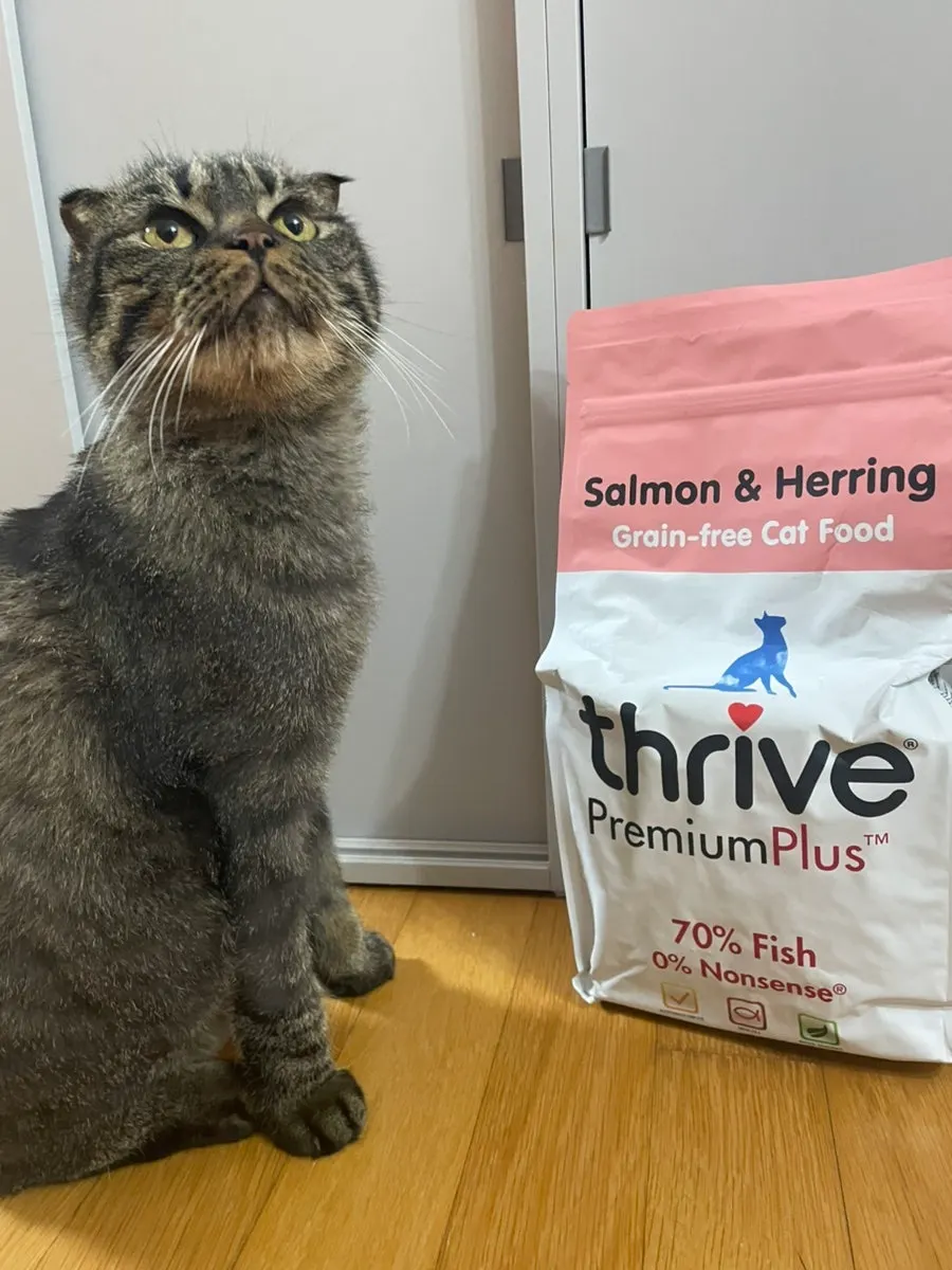 Introduction to Thrive dry cat food