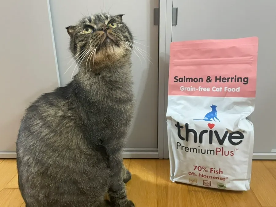 Thrive cat food presented with ingredient information