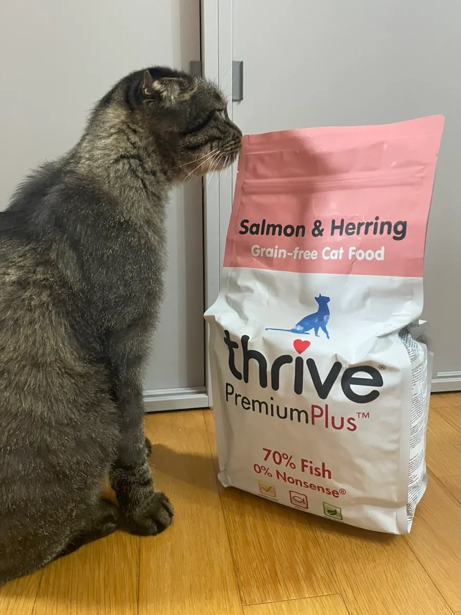 Thrive dry cat food fed to a cat