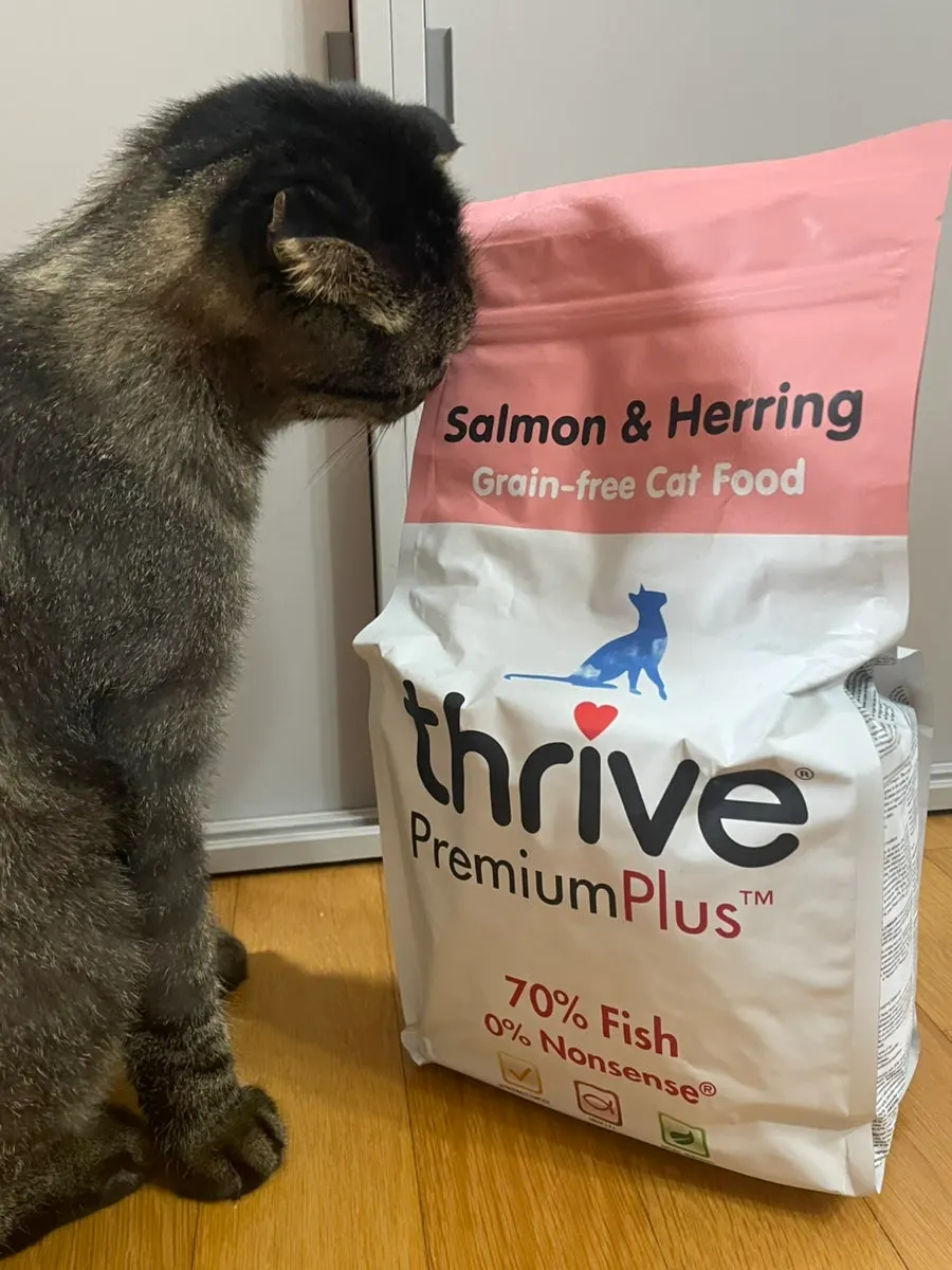 Thrive cat food checked for palatability