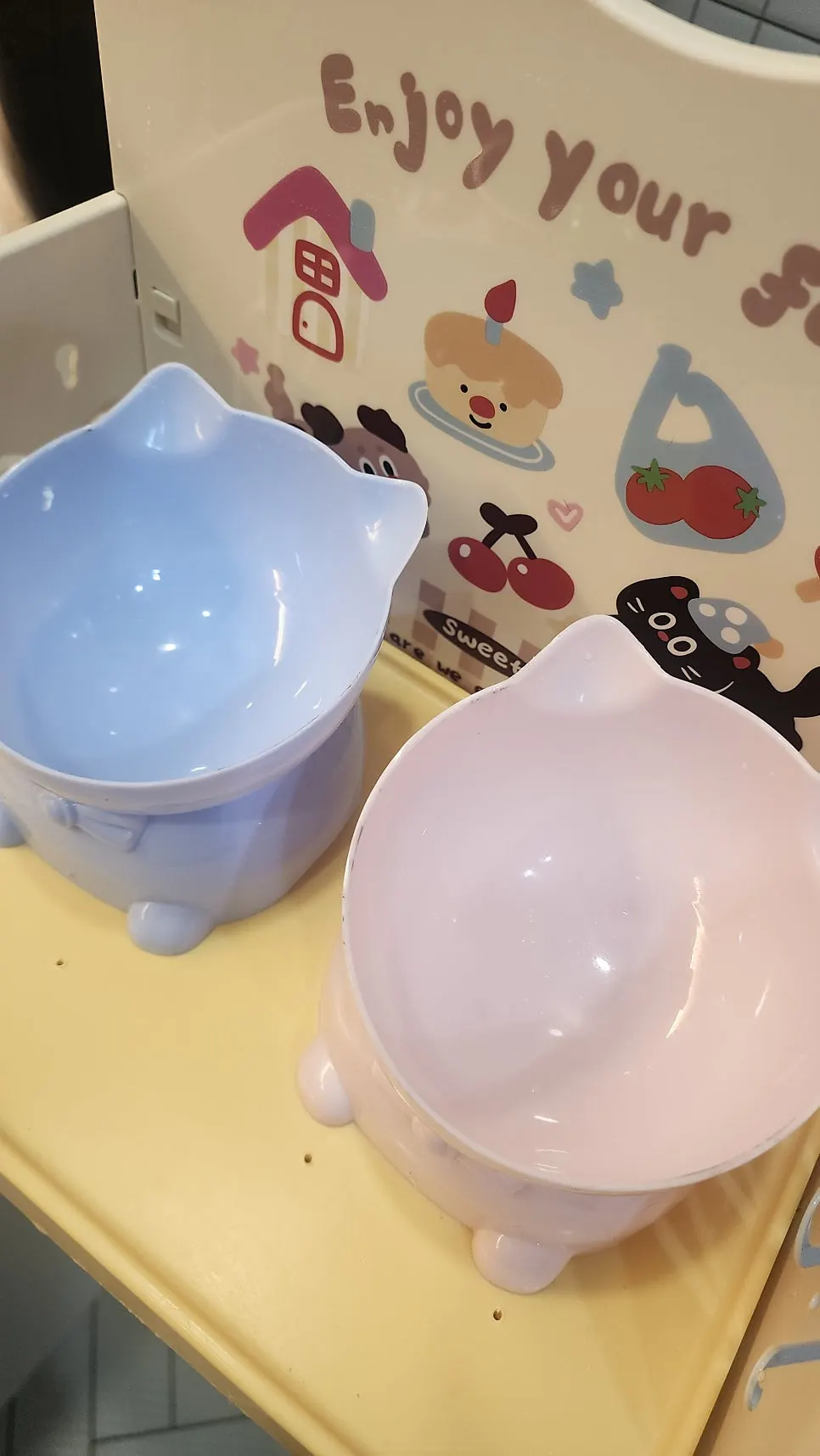 Bowls prepared to serve cat dry food