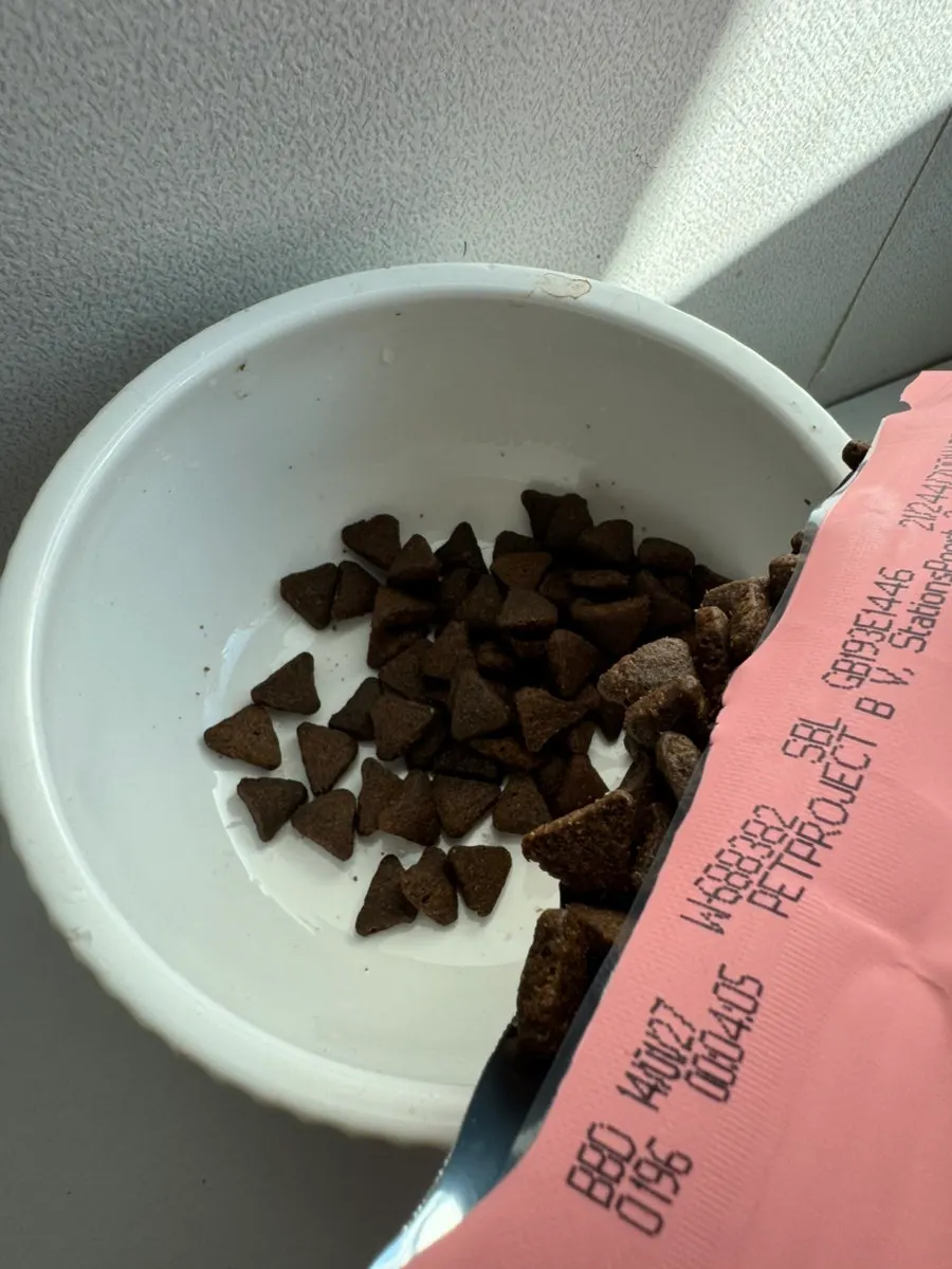 고양이 밥그릇에 담는 쓰라이브 건사료
