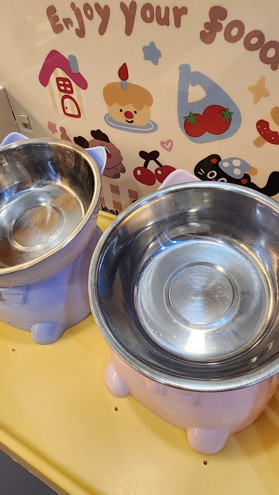 New bowls used for a pet cat's meal