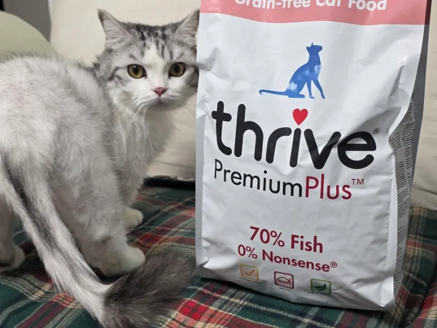 Feeding Thrive cat food to check a cat's response
