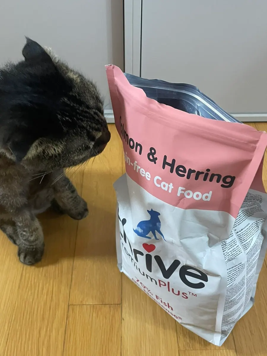 A cat being fed Thrive dry food
