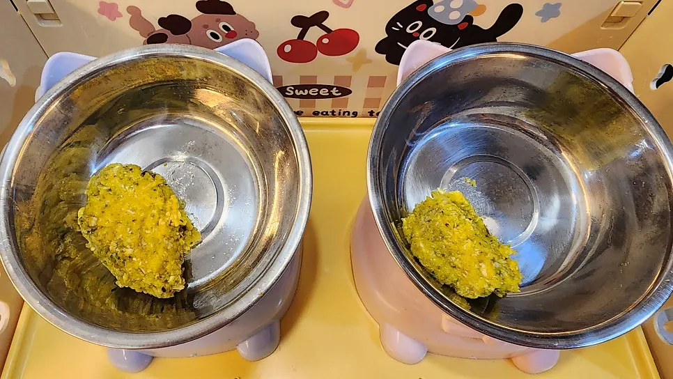 습식과 건사료를 함께 주는 반려묘 식사