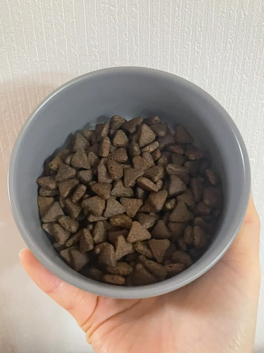 Thrive grain-free dry cat food