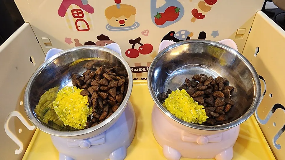 Dry food added to the cats' usual diet