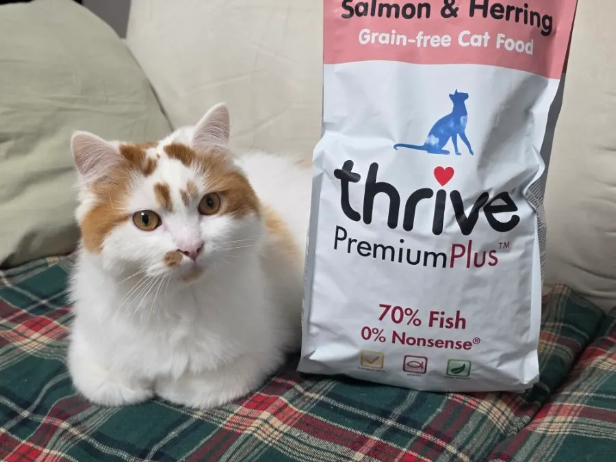 Thrive dry cat food introduced with feeding impressions