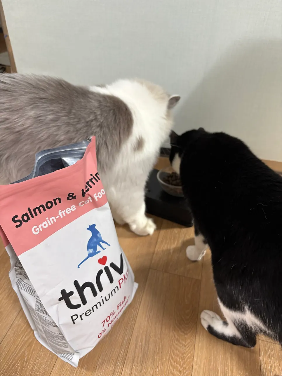 Thrive dry food newly added to the cats' diet