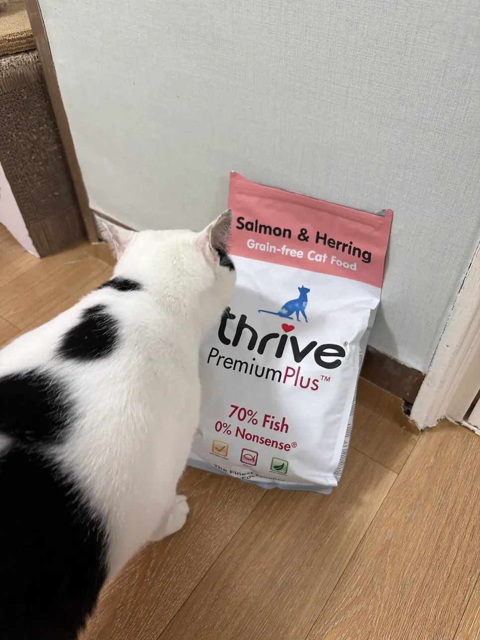 Triangle-shaped Thrive Salmon & Herring kibble