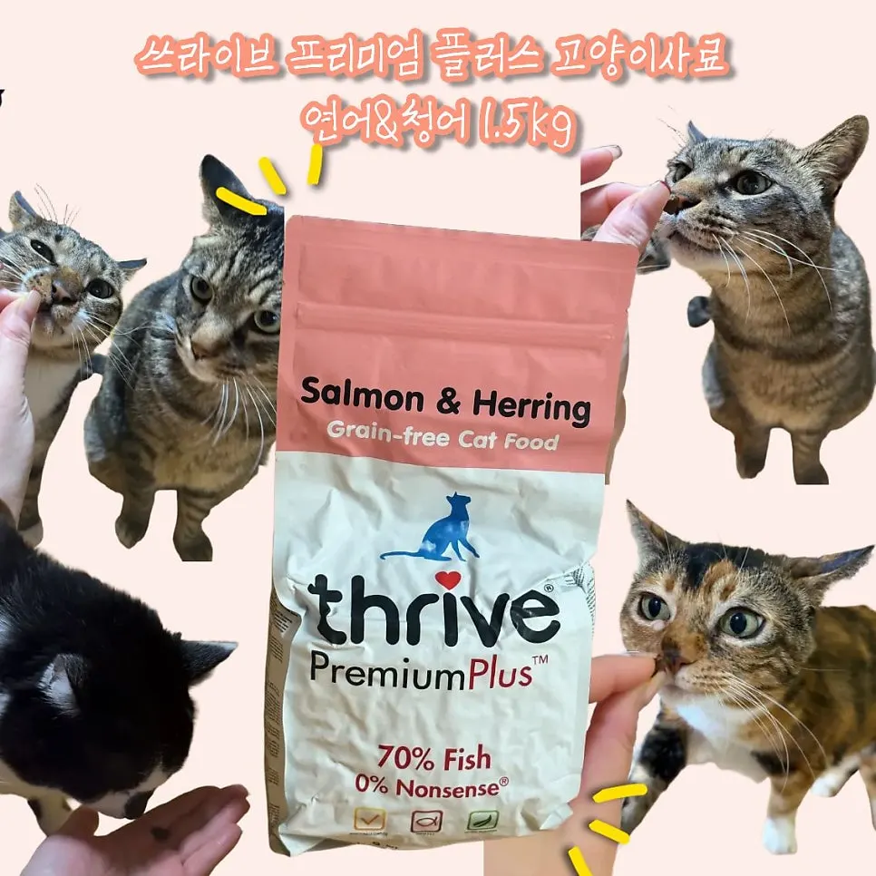 Thrive PremiumPlus Salmon & Herring cat dry food