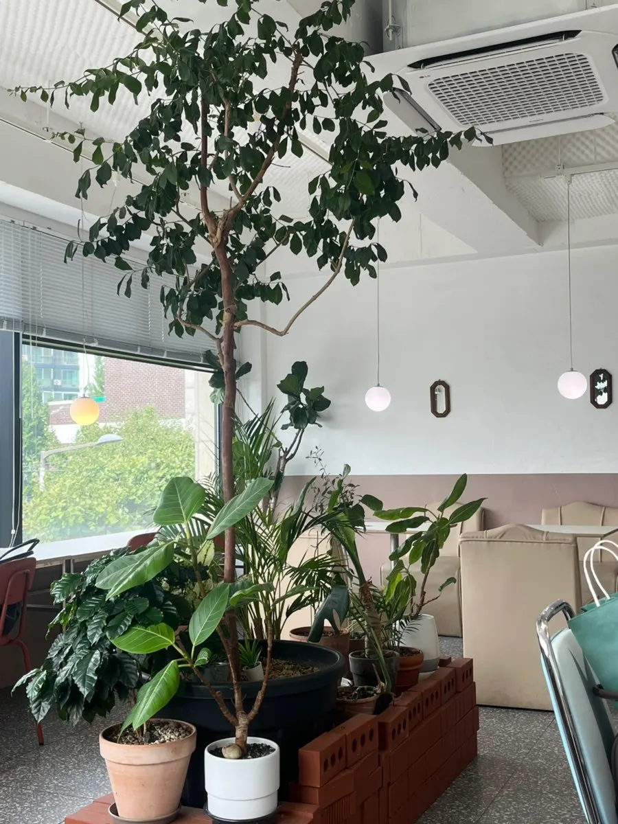 Third-floor interior with floor-to-ceiling windows