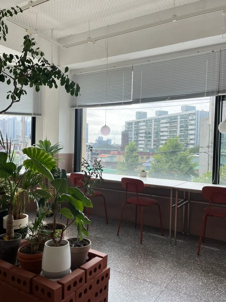 Juan neighborhood scenery and the atmosphere of Tiny Dot