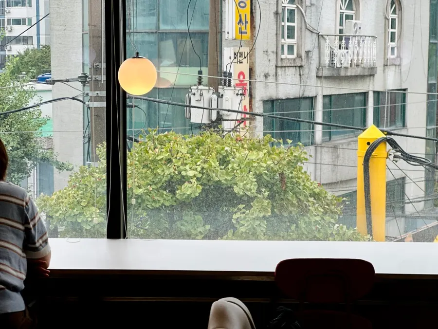 비 오는 날의 타이니닷 통창 창가석