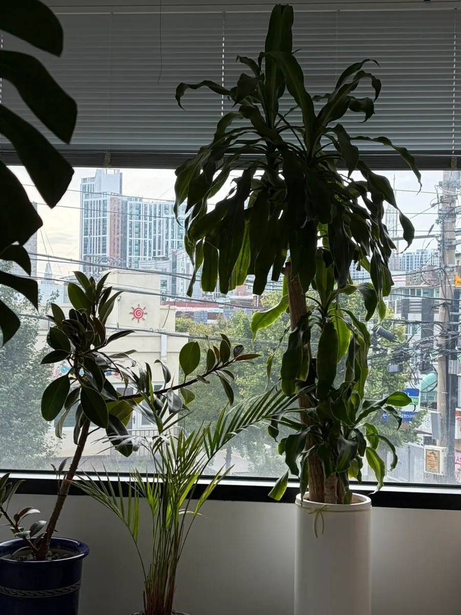 A cozy corner of Tiny Dot's 2nd floor