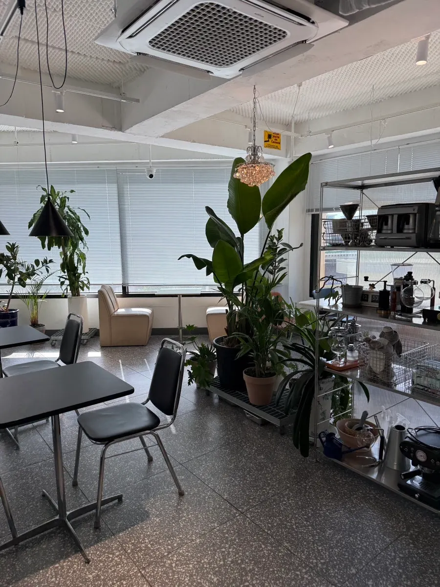 Interior of Tiny Dot with plants placed around