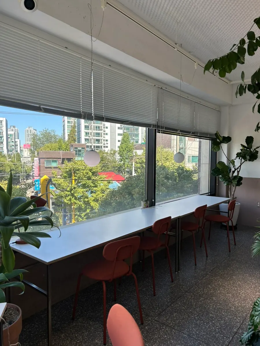 Neatly arranged seating at Tiny Dot