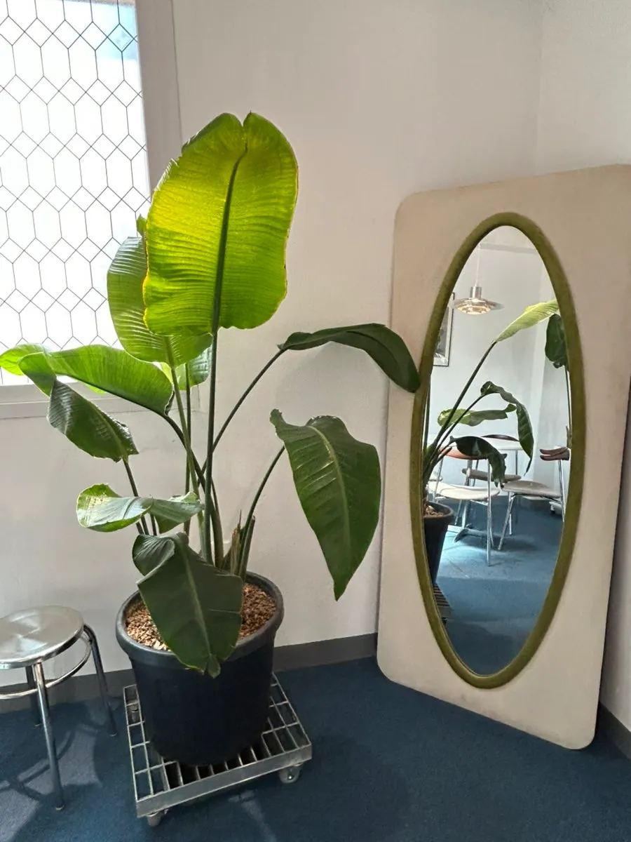 Upper-floor seating mood at Tiny Dot