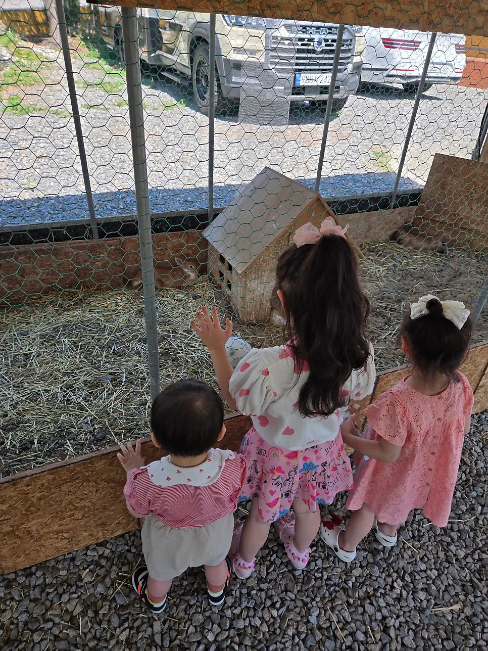 Rabbit enclosure at the animal farm next to Todamok