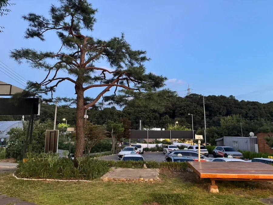 Parking space in front of Todamok