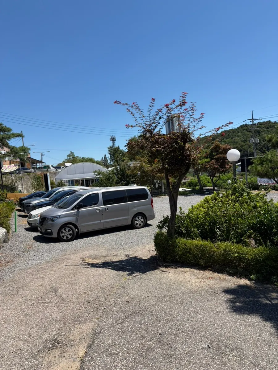 Todamok's parking lot right in front of the restaurant