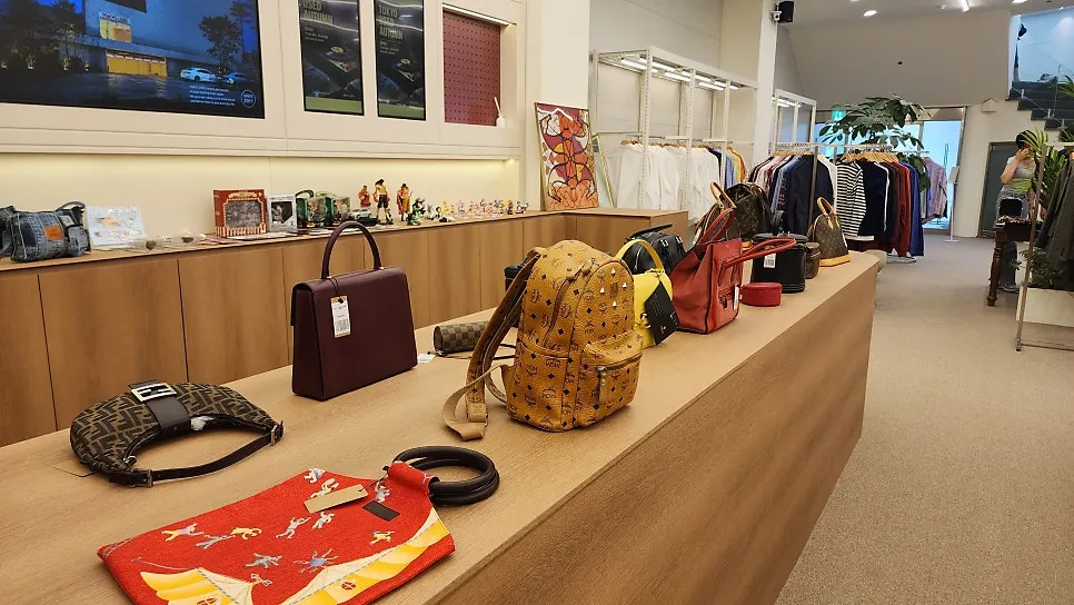 Vintage luxury bags on display