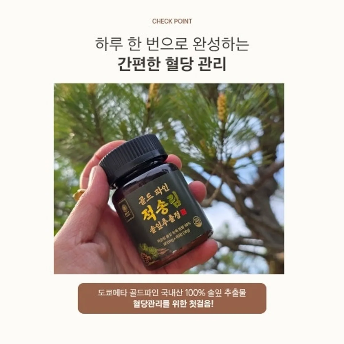 도쿄메타 골드파인 적송림 솔잎 정제 제품