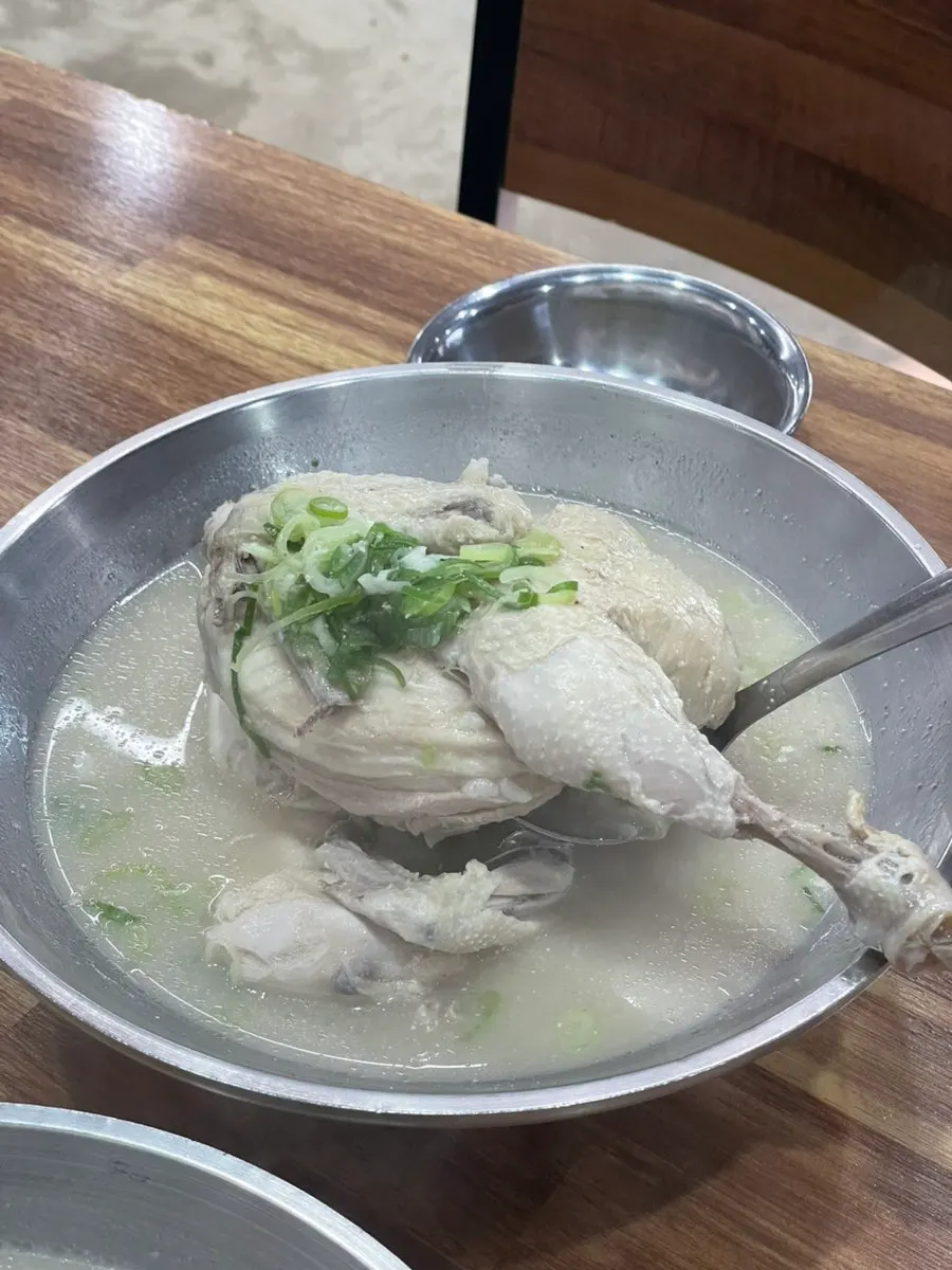 담백한 국물의 닭곰탕 클로즈업